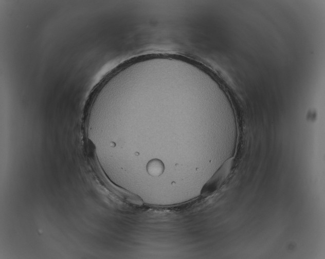 X0000092111168200710101137