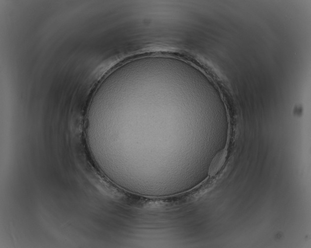 X0000092111169200710101137