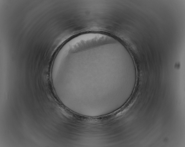 X0000092111170200710101137