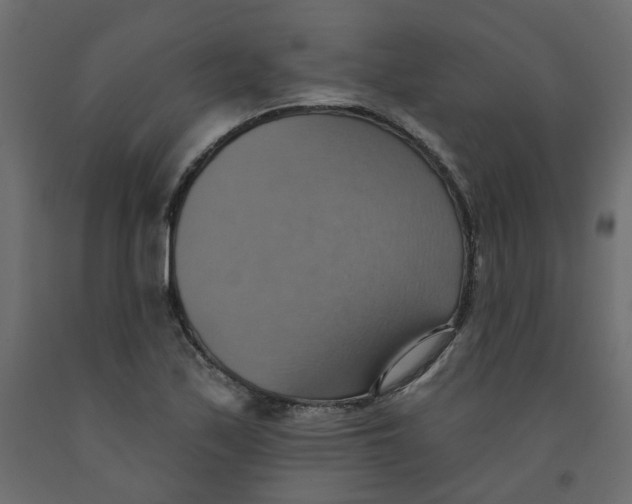 X0000092111171200710101137