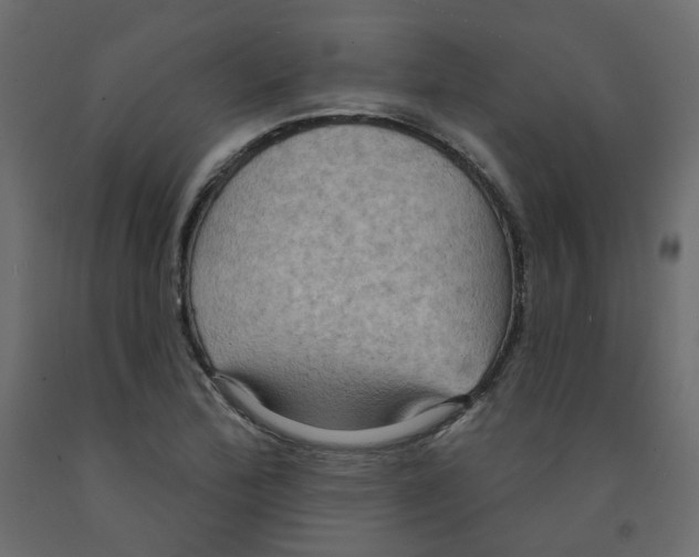 X0000092111172200710101137