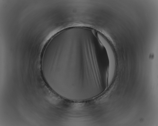 X0000092111173200710101137