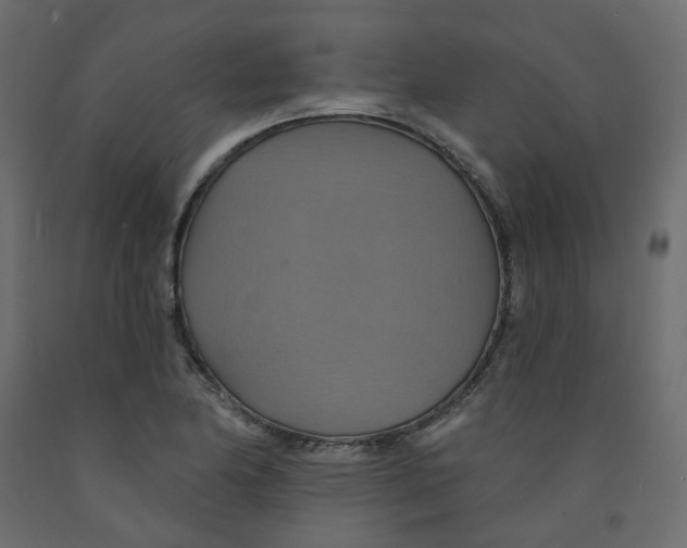 X0000092111174200710101137