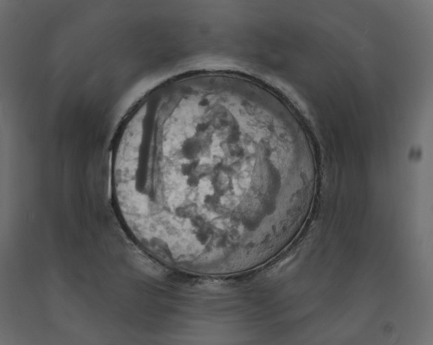 X0000092111175200710101137