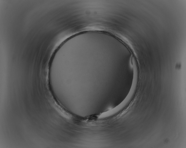 X0000092111179200710101137