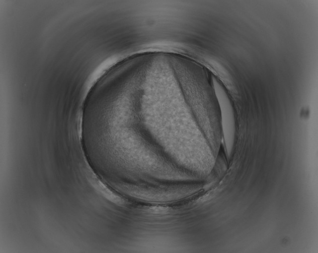 X0000092111180200710101137