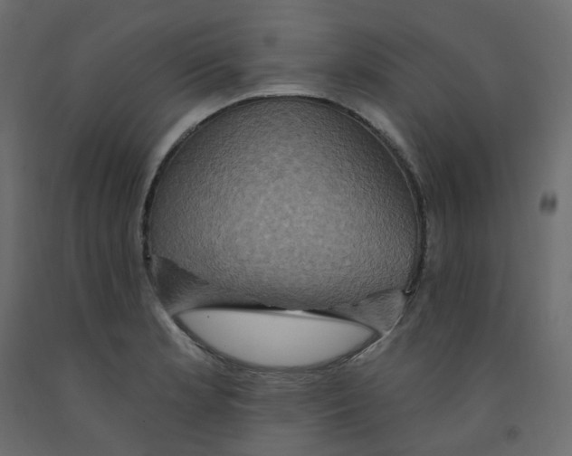 X0000092111181200710101137
