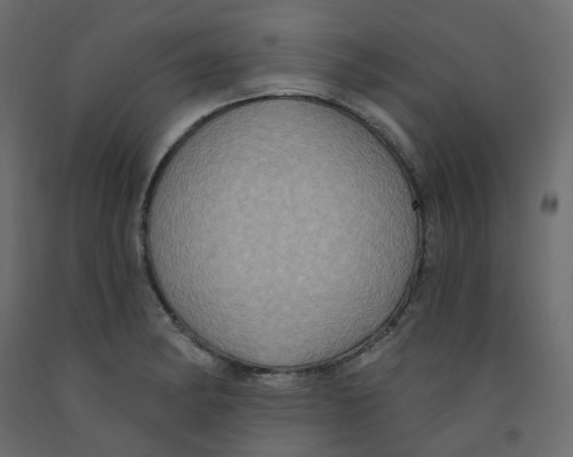 X0000092111182200710101137