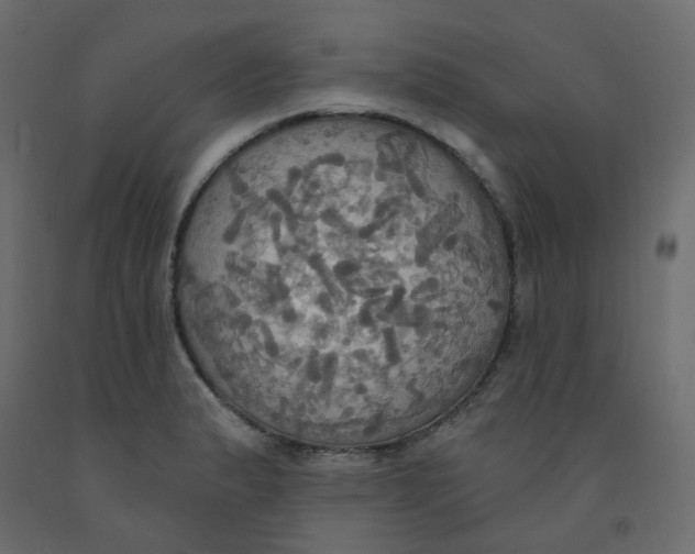 X0000092111183200710101137