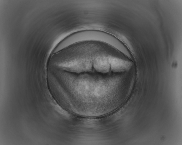 X0000092111184200710101137