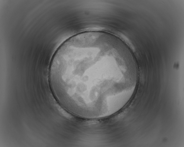 X0000092111186200710101137