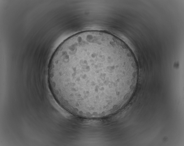 X0000092111187200710101137