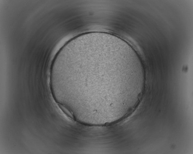 X0000092111188200710101137
