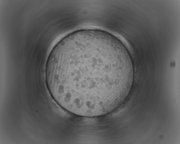 X0000092111191200710101137
