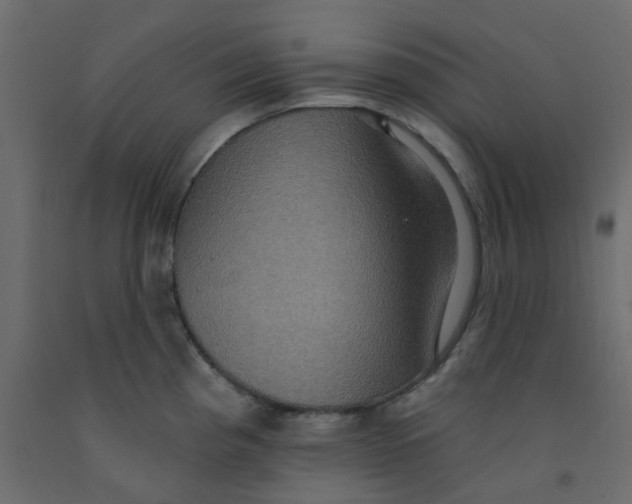 X0000092111193200710101136
