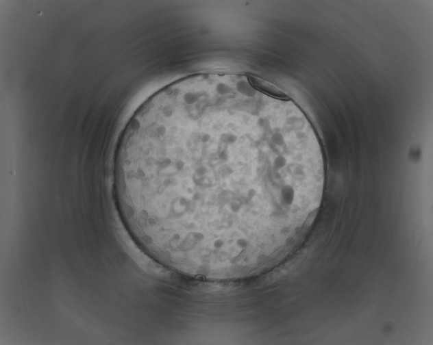 X0000092111195200710101136