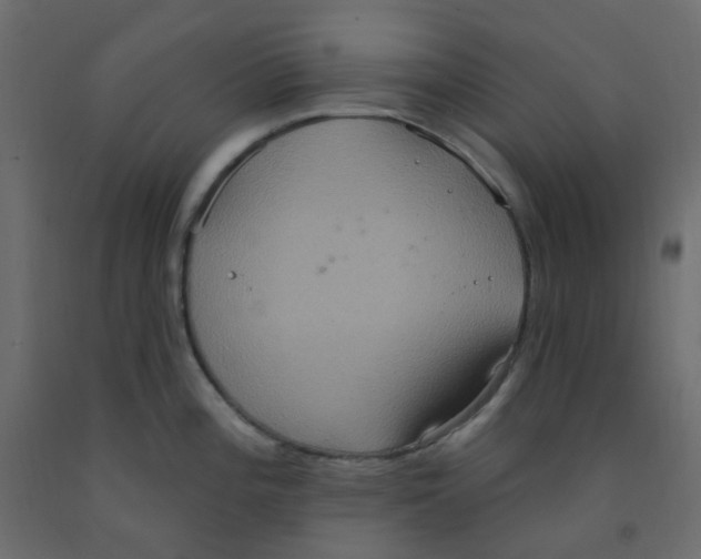 X0000092111196200710101136