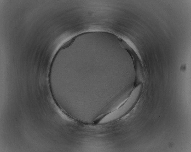 X0000092111197200710101136