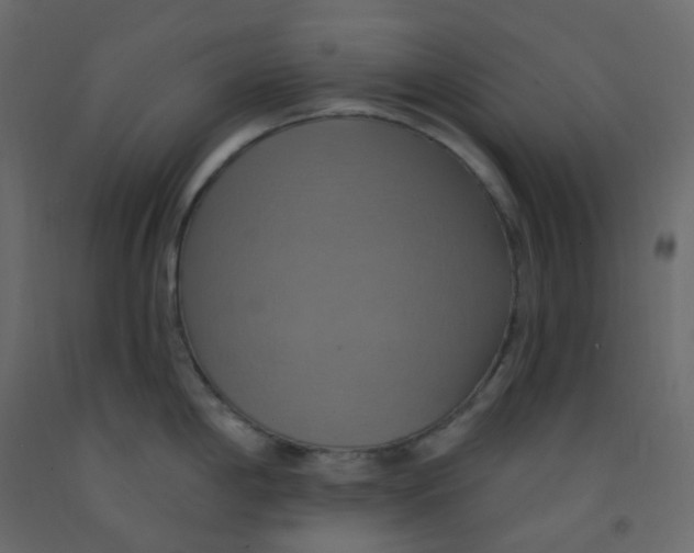 X0000092111198200710101136
