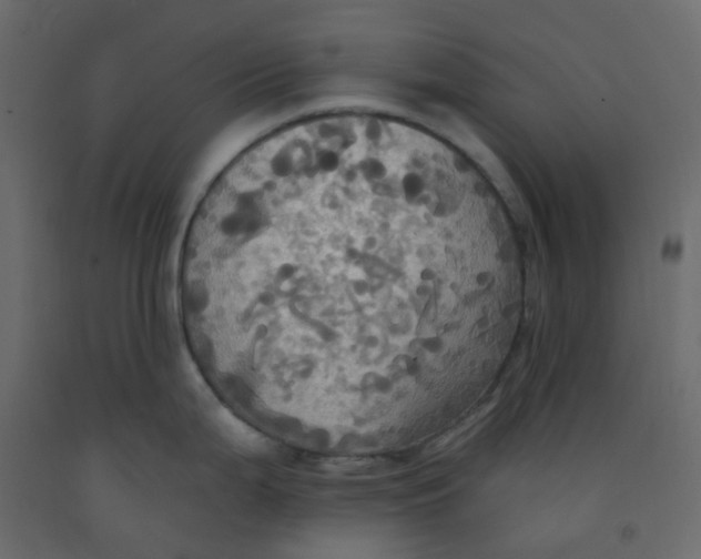 X0000092111199200710101136