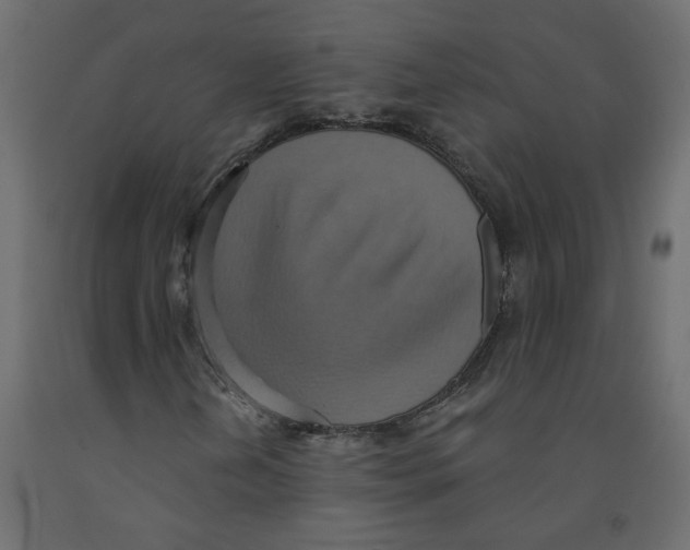 X0000092111202200710101136