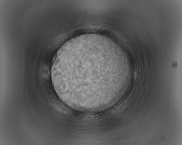 X0000092111204200710101136