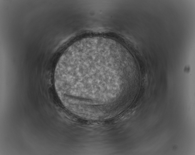 X0000092111205200710101136