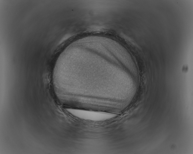 X0000092111206200710101136