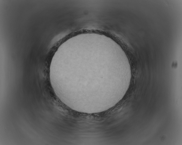 X0000092111207200710101136