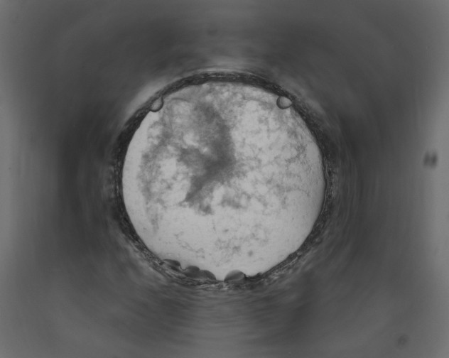 X0000092111208200710101136