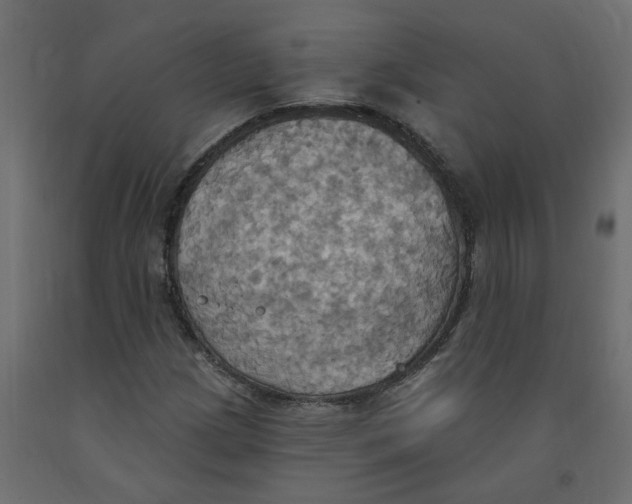 X0000092111209200710101136