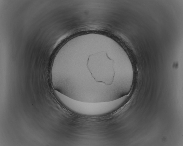 X0000092111210200710101136