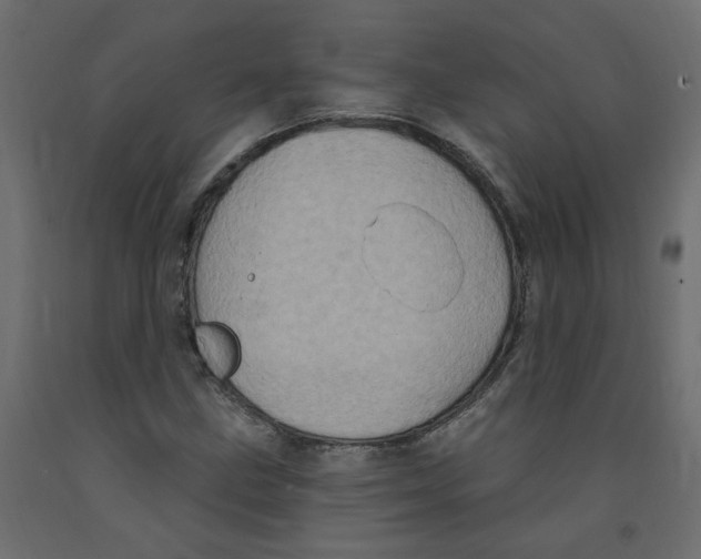 X0000092111211200710101136