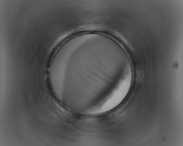 X0000092111213200710101136