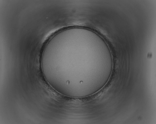 X0000092111214200710101136