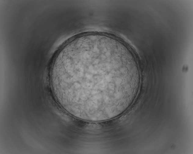 X0000092111215200710101136