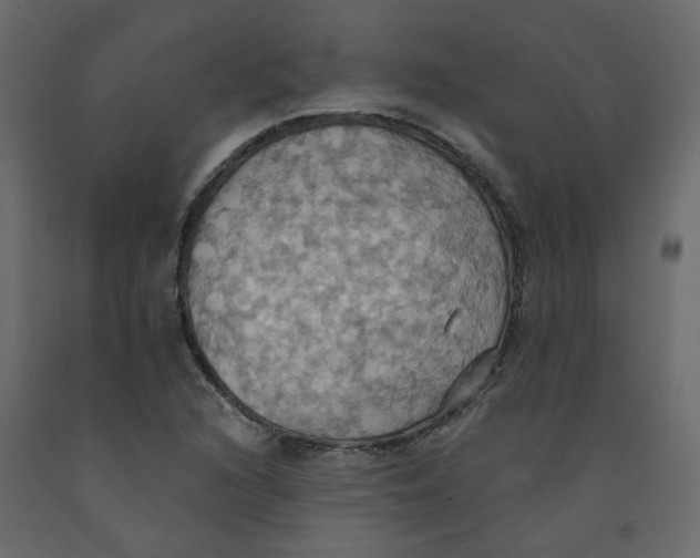 X0000092111216200710101136