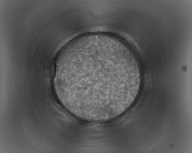 X0000092111217200710101136