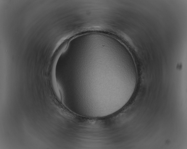 X0000092111218200710101136