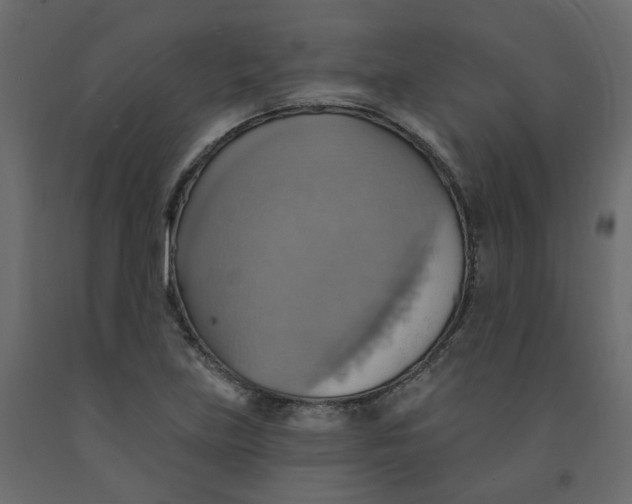 X0000092111219200710101136