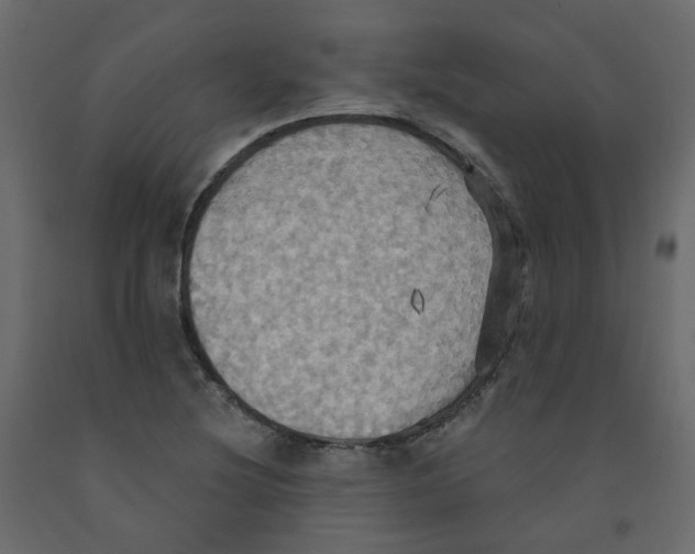 X0000092111220200710101136