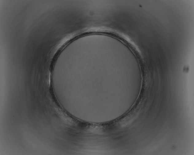 X0000092111221200710101136