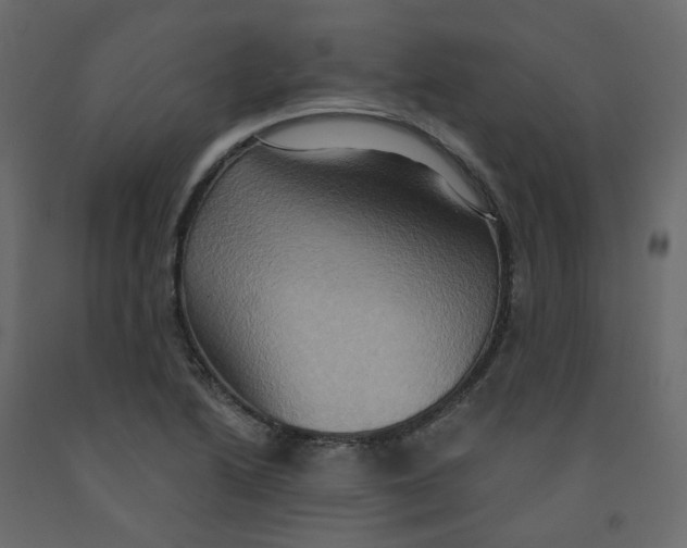 X0000092111222200710101136