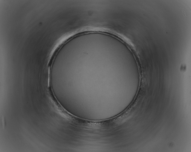 X0000092111223200710101136