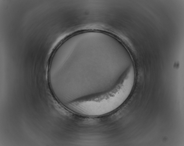 X0000092111224200710101136