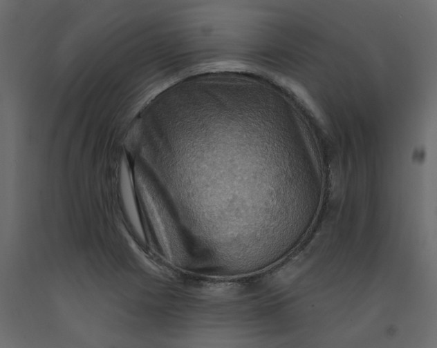 X0000092111225200710101136