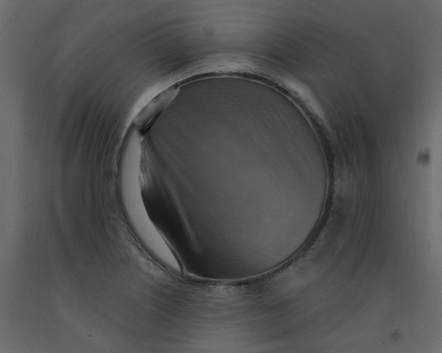 X0000092111226200710101136