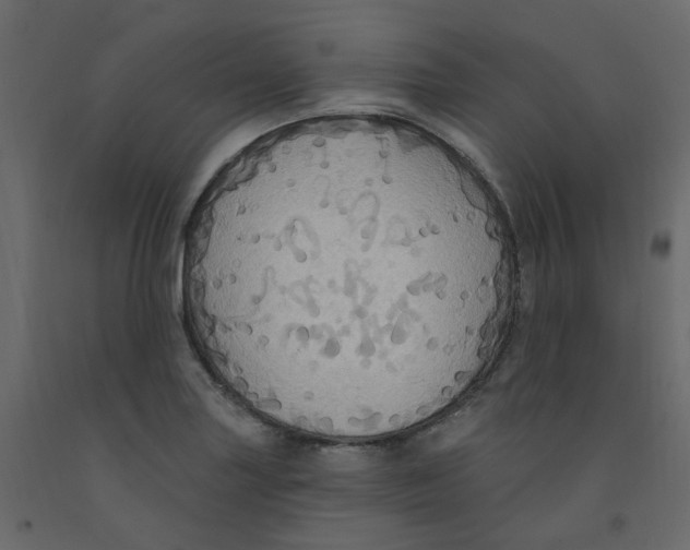 X0000092111227200710101136
