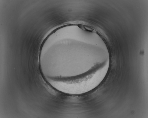 X0000092111228200710101136