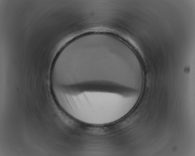 X0000092111229200710101136